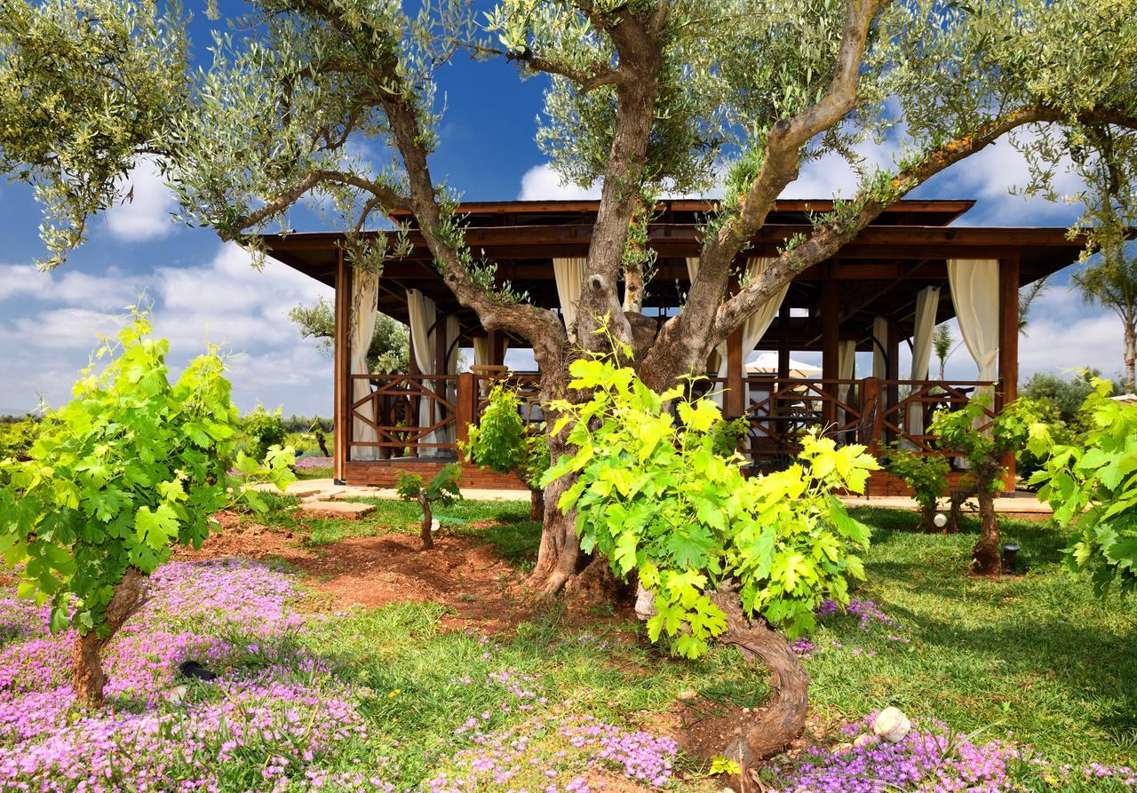 Chateau Roslane Boutique Hotel & Spa Meknès Eksteriør bilde